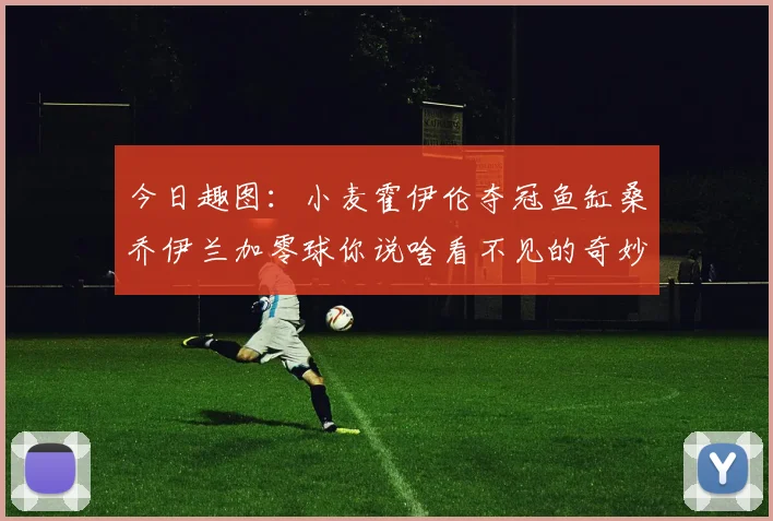 今日趣图：小麦霍伊伦夺冠鱼缸桑乔伊兰加零球你说啥看不见的奇妙瞬间