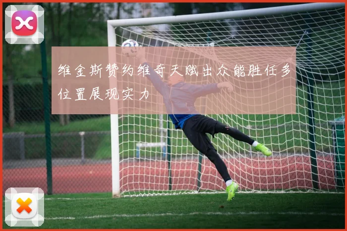 维金斯赞约维奇天赋出众能胜任多位置展现实力