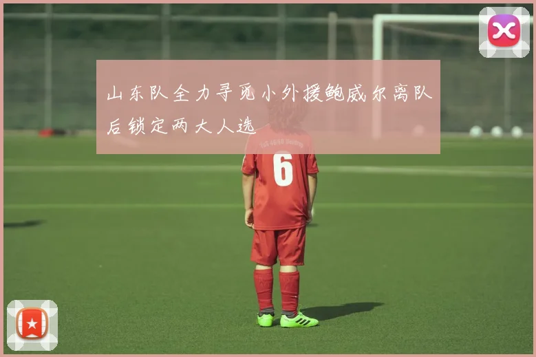 山东队全力寻觅小外援鲍威尔离队后锁定两大人选