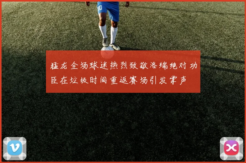 猛龙全场球迷热烈致敬洛瑞绝对功臣在垃圾时间重返赛场引发掌声