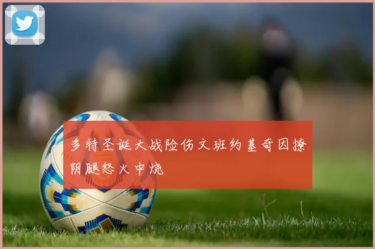 多特圣诞大战险伤文班约基奇因撩阴腿怒火中烧