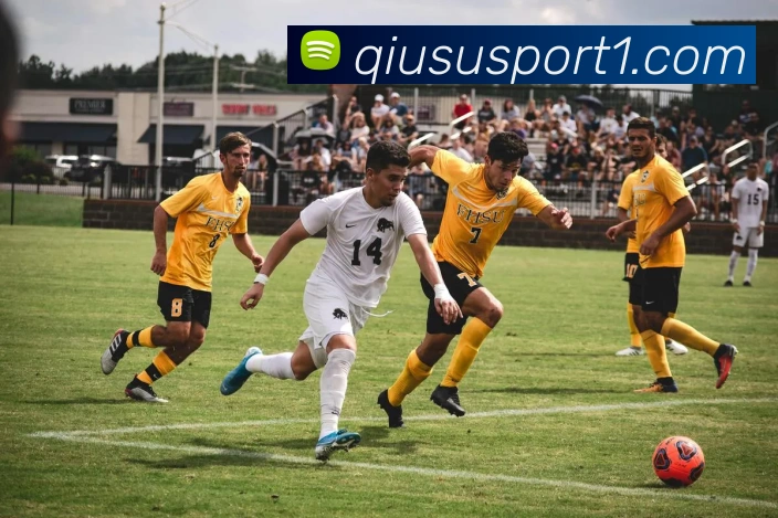 球速体育服务体系